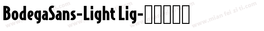 BodegaSans-Light Lig字体转换
